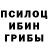 Псилоцибиновые грибы Cubensis IMIS 20