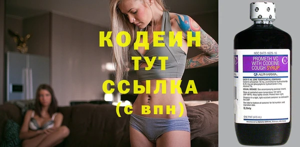 молекула духа Вязьма