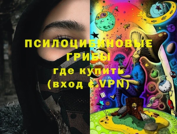 apvp Володарск