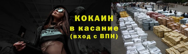 сатива Волосово