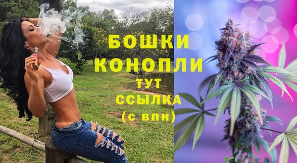 сатива Волосово