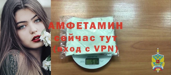 молекула духа Вязьма